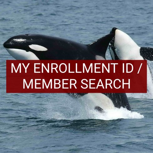 My Enrollment ID / Member Search